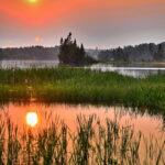 A sunset over foggy wetlands