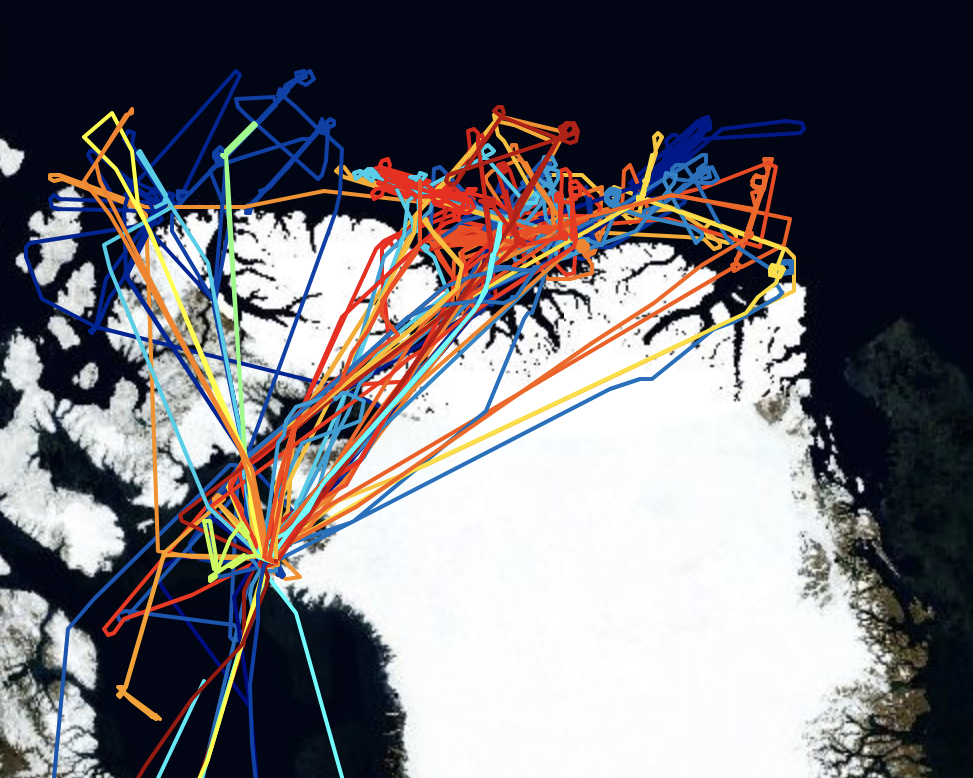 A map of the ARCSIX flights, criss-crossing over the northern edge of Greenland