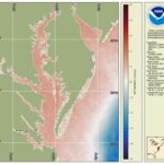 Winter 2023-2024 water temperature difference map for Chesapeake Bay from satellite data shows warmer water (red color) compared to a 2007-2022 baseline, indicating unfavorable conditions for economically key fish species in Maryland and the Mid-Atlantic region such as striped bass and bay anchovy, but favorable conditions for species such as blue crabs. Science-based information from satellites helps fishery managers in Maryland and the Mid-Atlantic plan for potential management actions to ensure fish stocks remain stable.