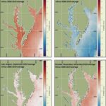Satellite seasonal temperature difference maps indicate how the Chesapeake Bay ecosystem and its organisms may respond to the temperature changes. Here, the maps show warmer than average water temperatures from January through March 2020, cooler than average from April through June, near average July through September, and slightly warmer than average October through December. The long-term baseline is from the years 2008-2019.]