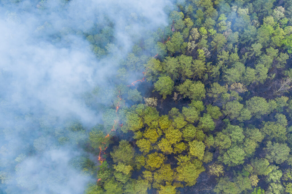 Forests viewed from above, obscured by wildfire smoke.
