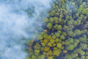 Forests viewed from above, obscured by wildfire smoke.