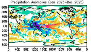Figure 4. Precipitation anomaly map for 2025 (Jan 2025-Dec 2025).