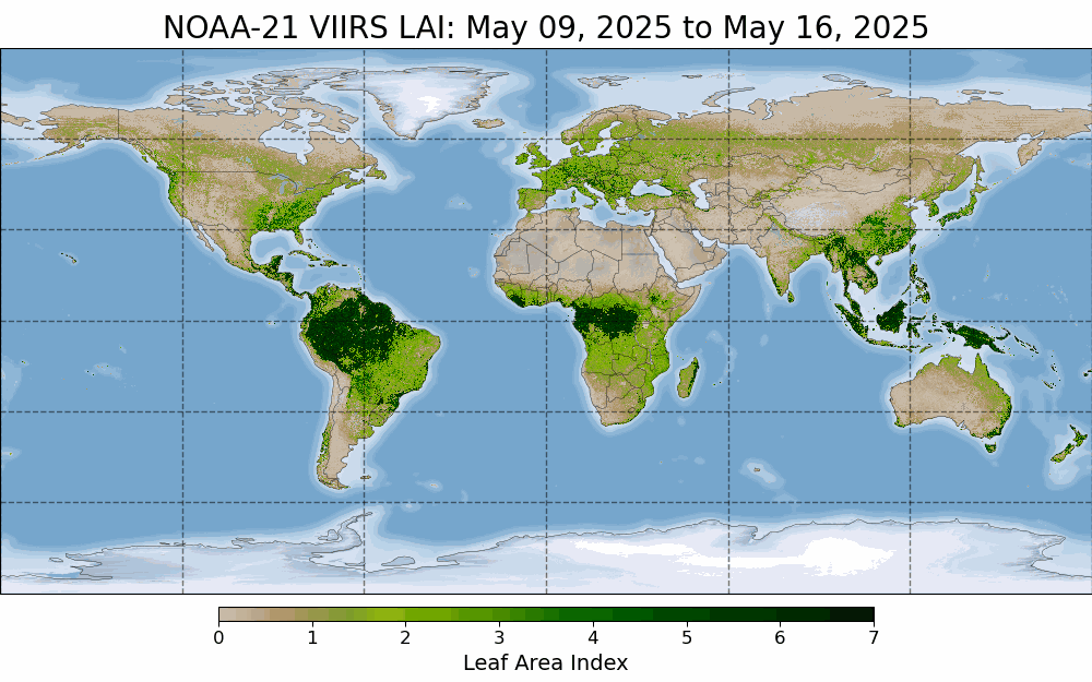 NOAA-21 VIIRS LAI: May 09, 2025 to May 16, 2025