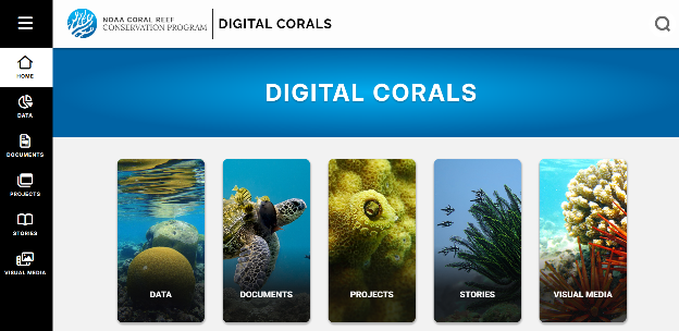 Digital corals website