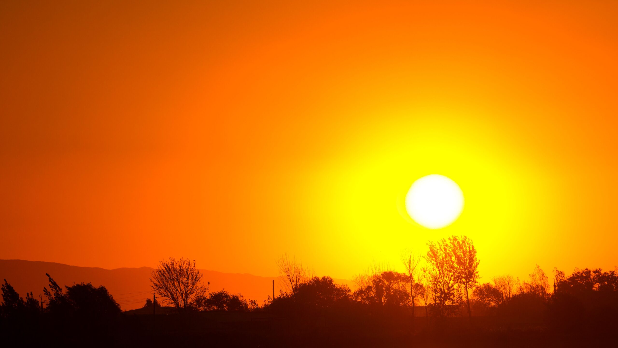 The sun over the horizon