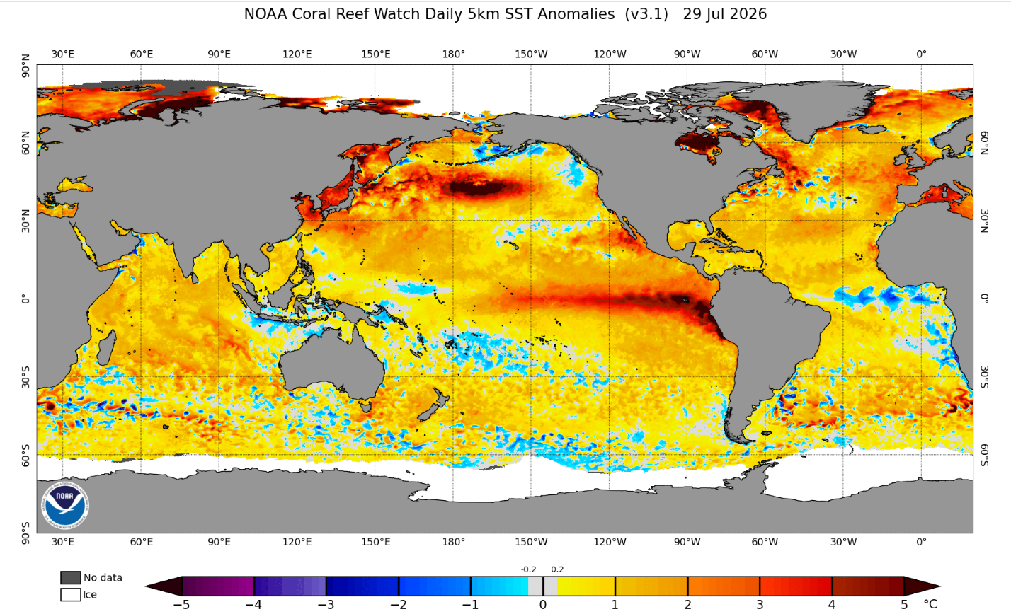 NOAA Coral Reef Watch Daily 5km SST Anomalies