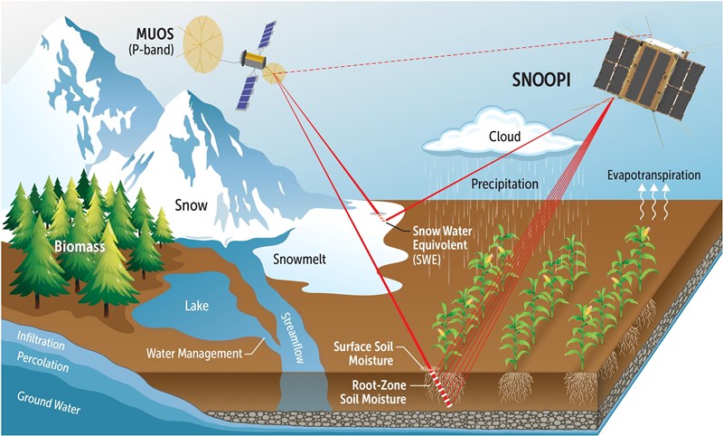 A figure depicting how SNOOPI works